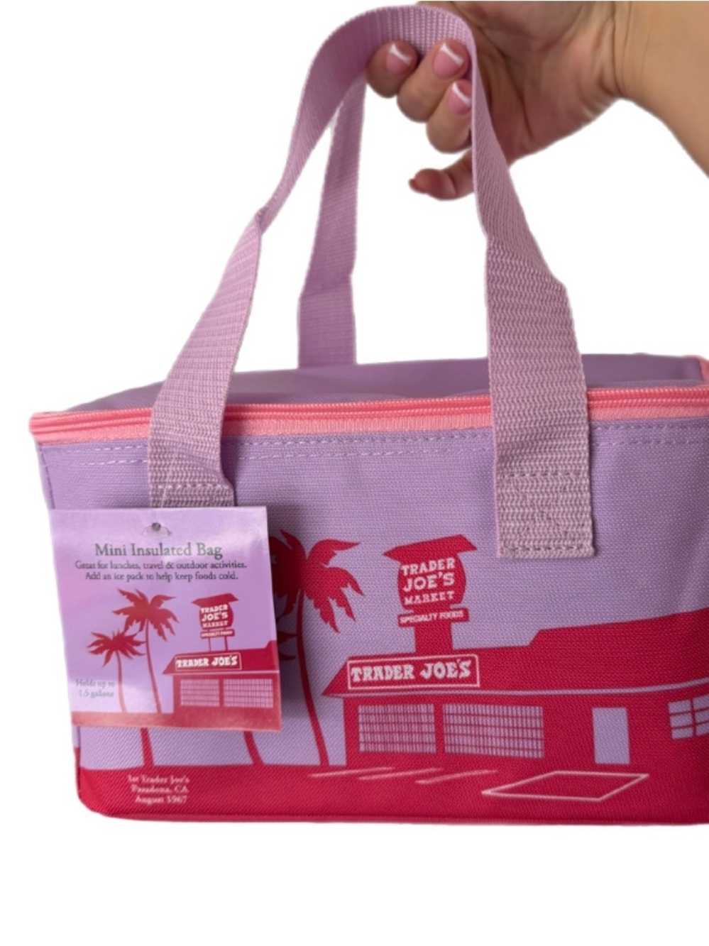 Trader Joe’s Pink & Lavender Insulated Mini Tote